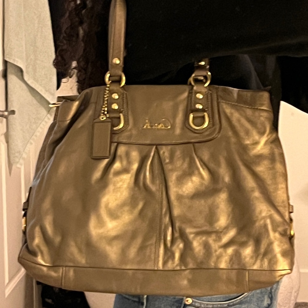 Coach Ashley Steel Leather Carryall Convertible Satchel Womens Handbag